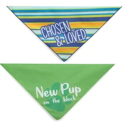 Aria Adopted Bandanas