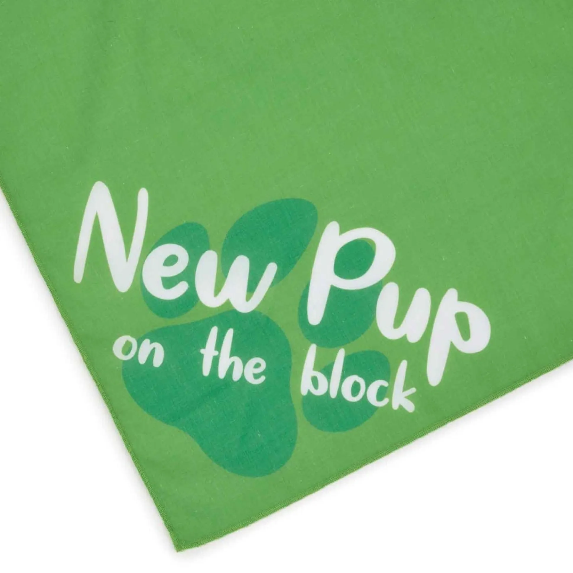Aria Adopted Bandanas