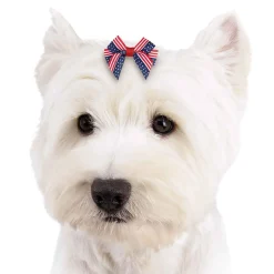 Aria Americana Pup Bow Canister 48 Pieces