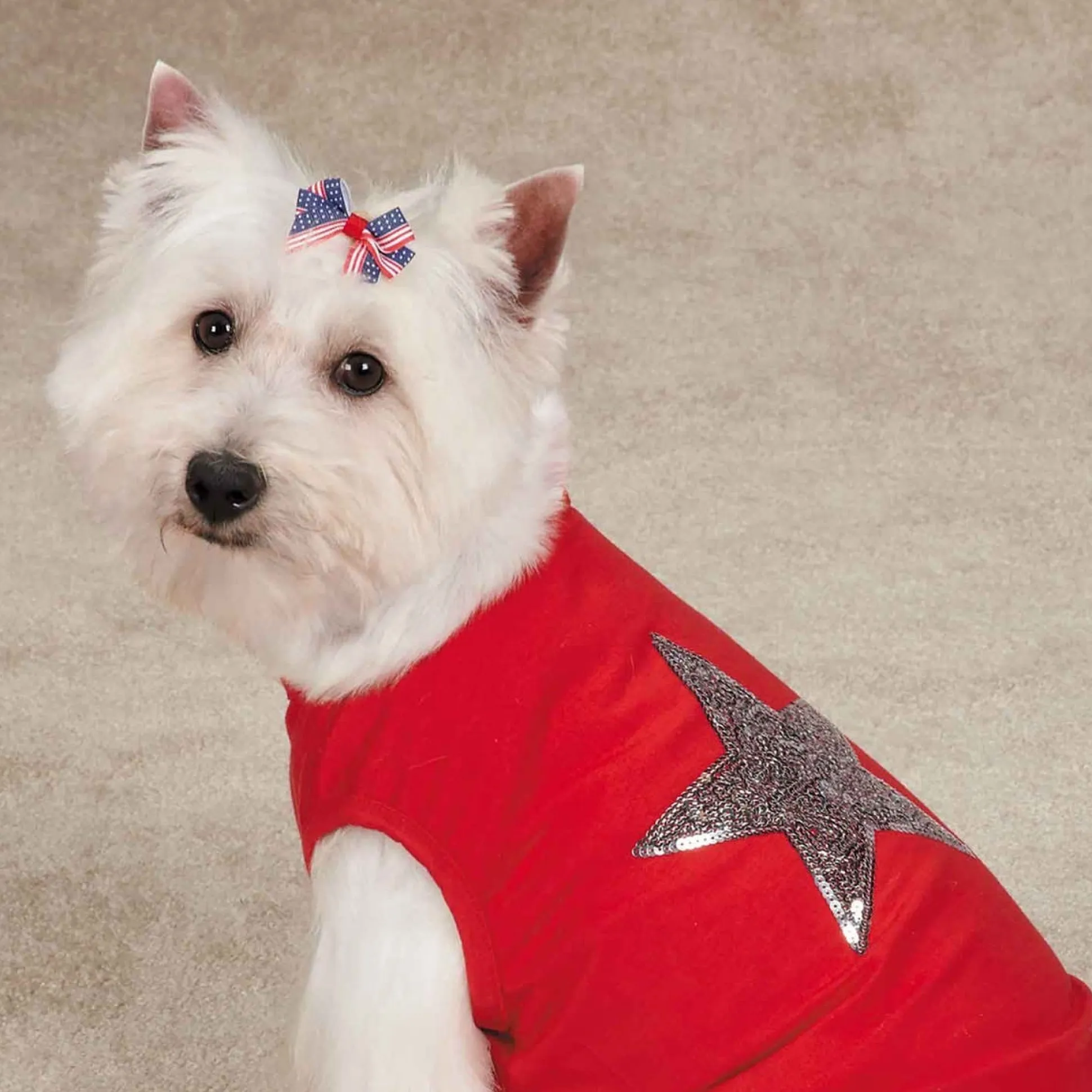 Aria Americana Pup Bow Canister 48 Pieces