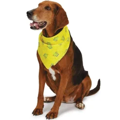 Aria Bark It's My Birthday Bandanas