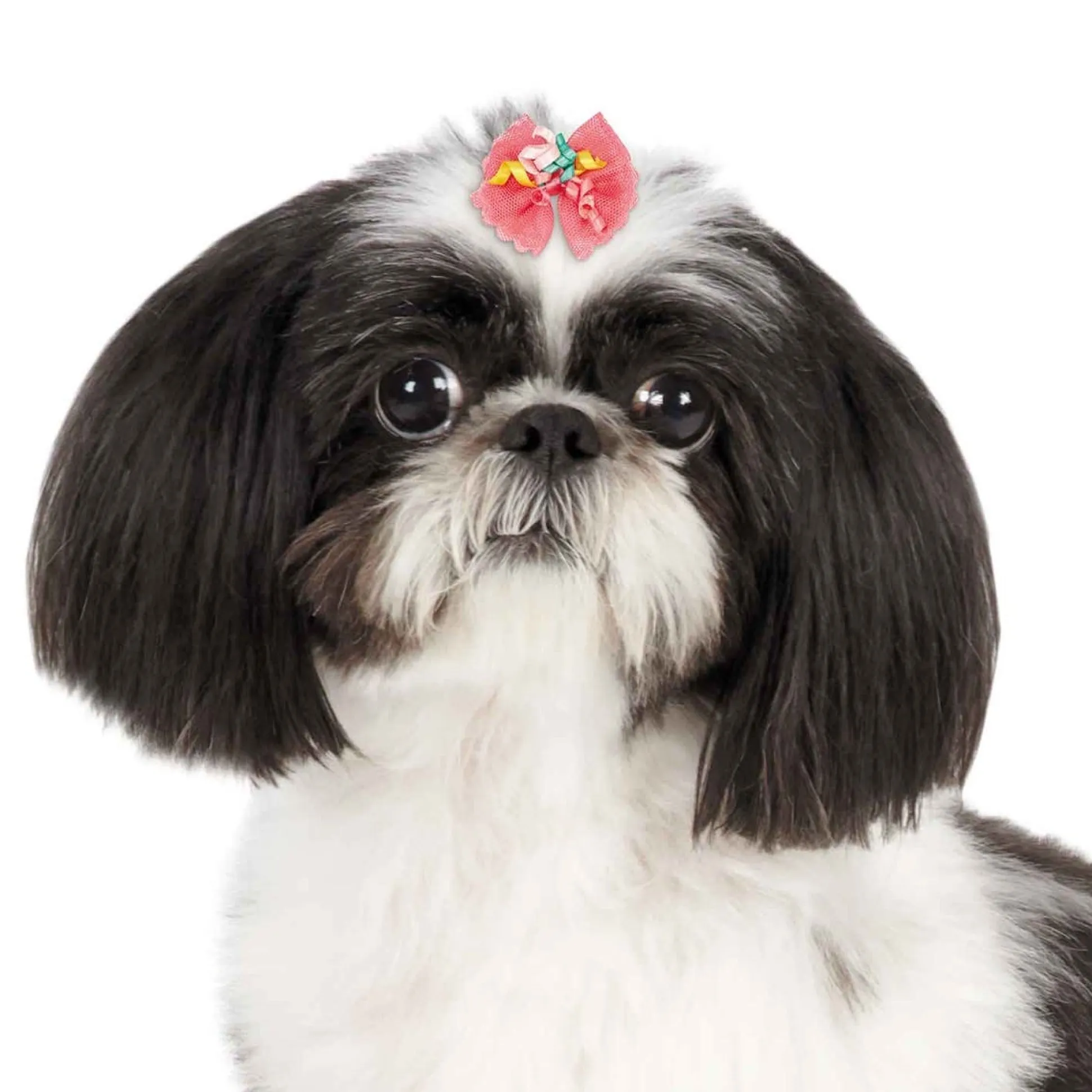 Aria Bonita Bows 100 Count
