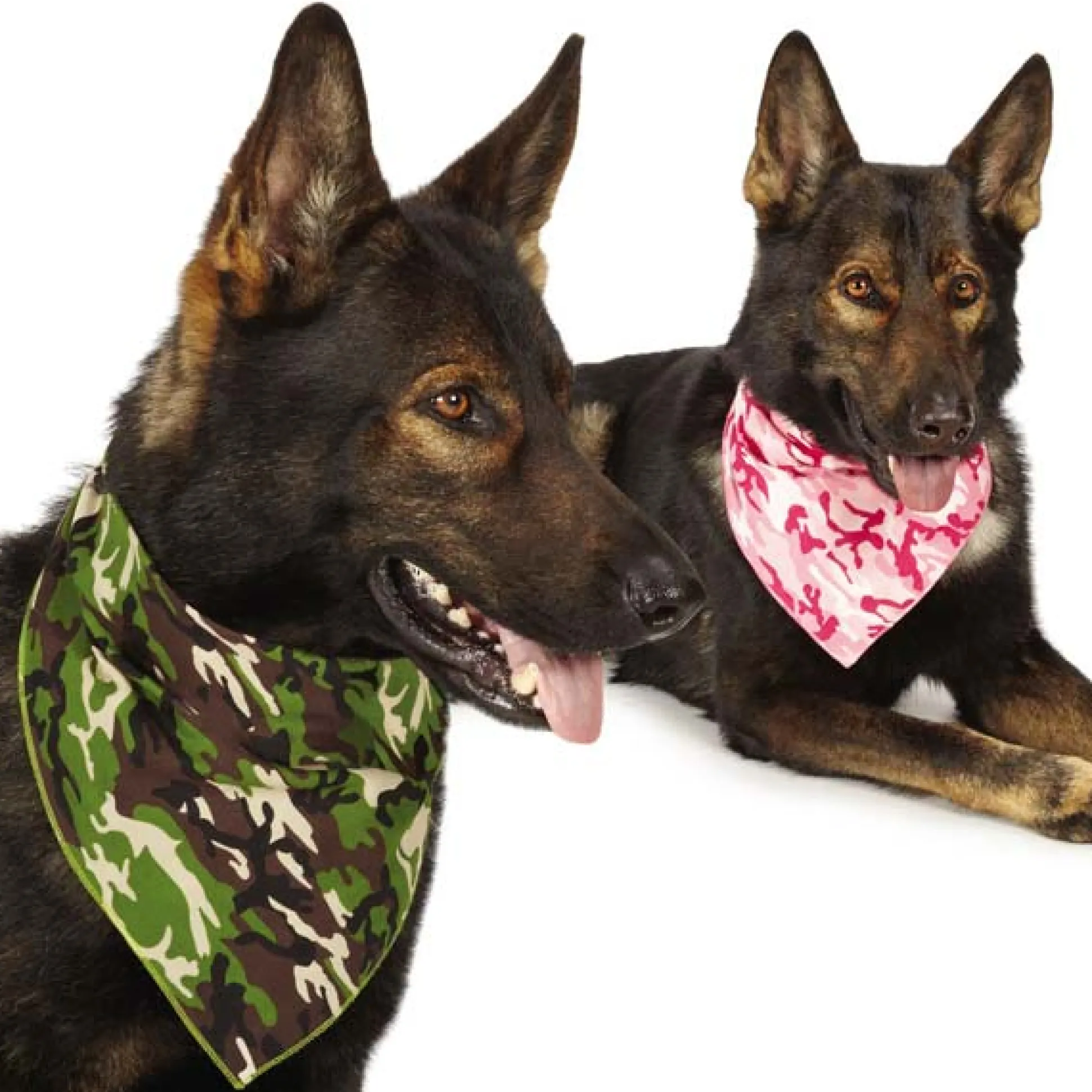 Aria Camo Bandanas