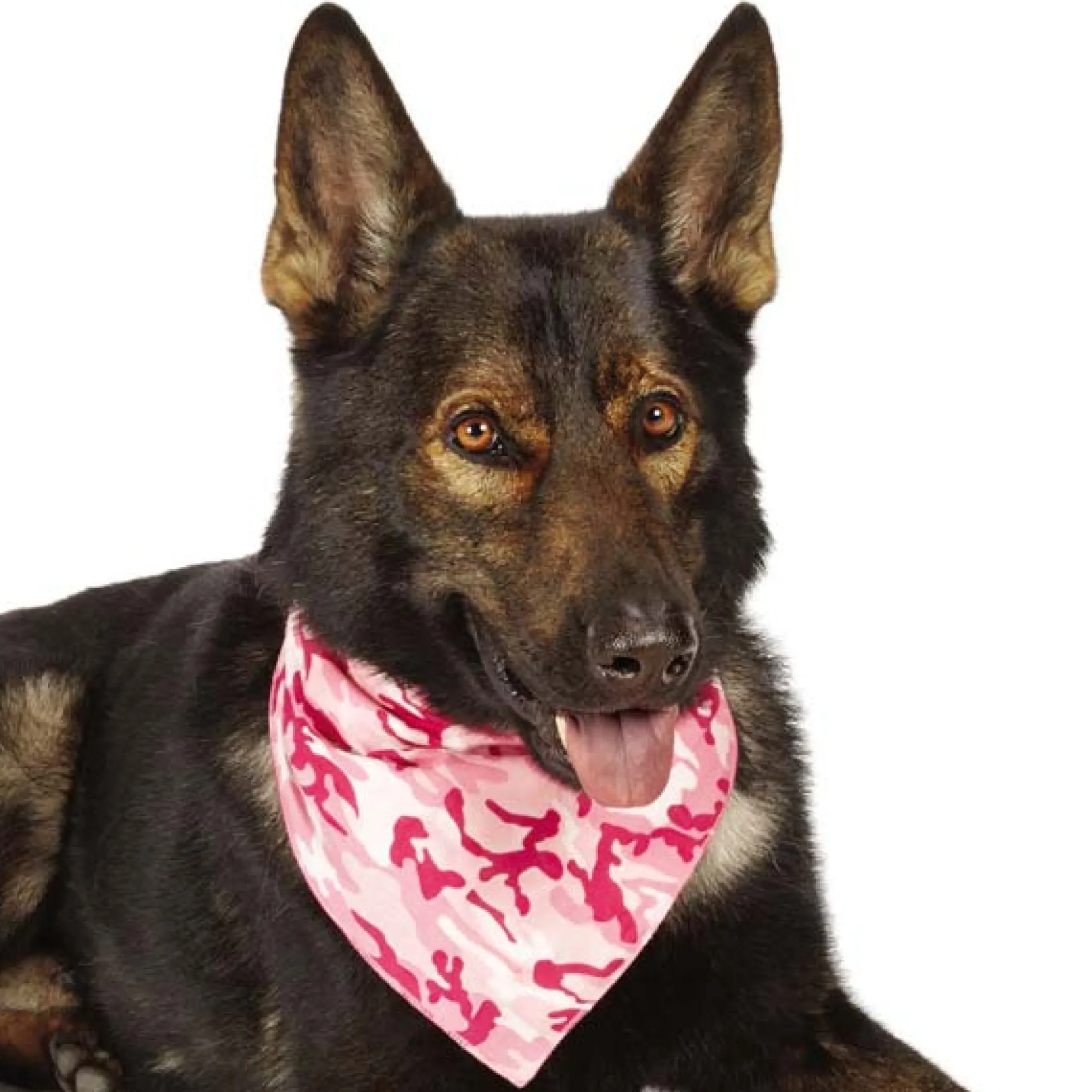 Aria Camo Bandanas