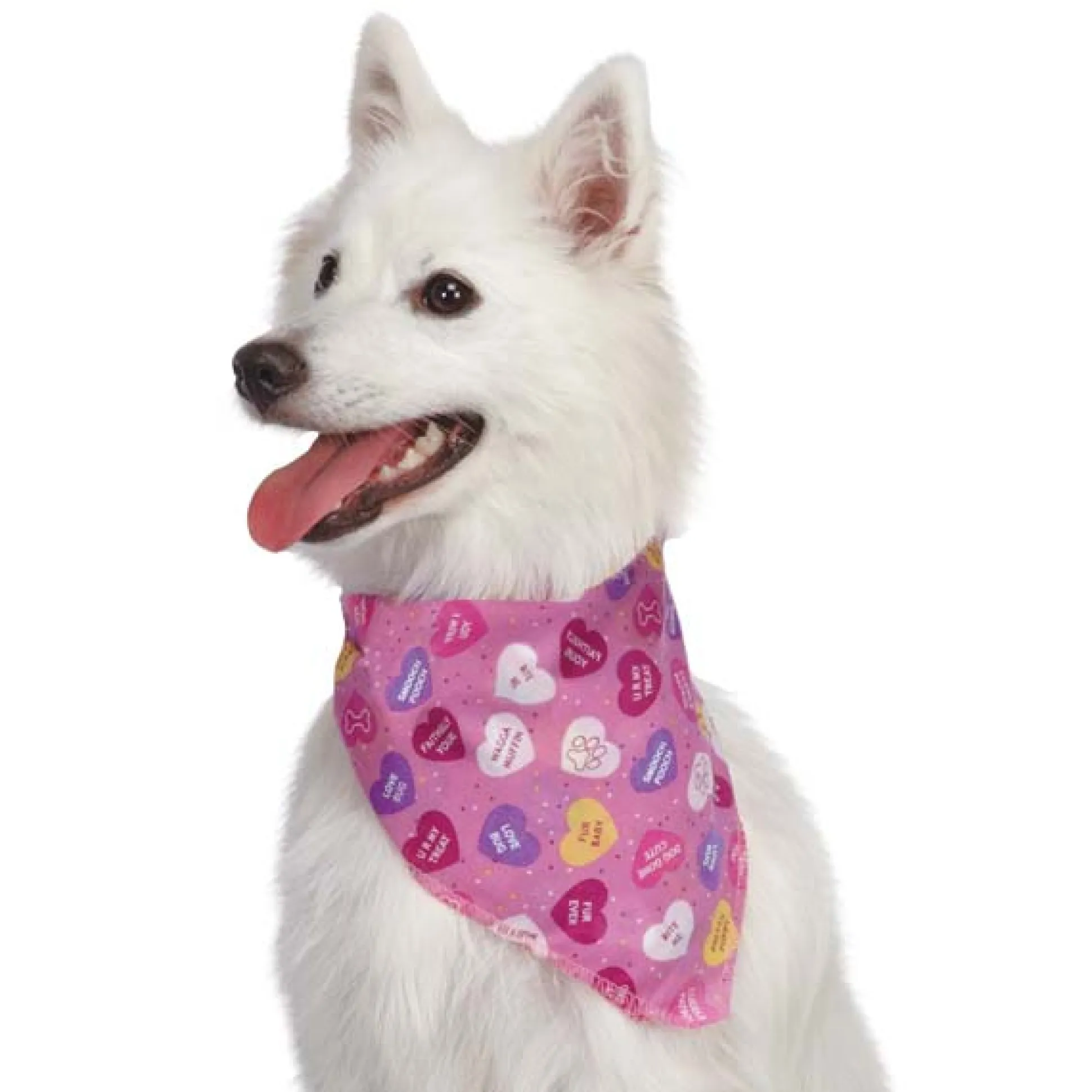 Aria Conversation Hearts Bandanas