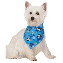 Aria North Pole Pals Dog Bandanas