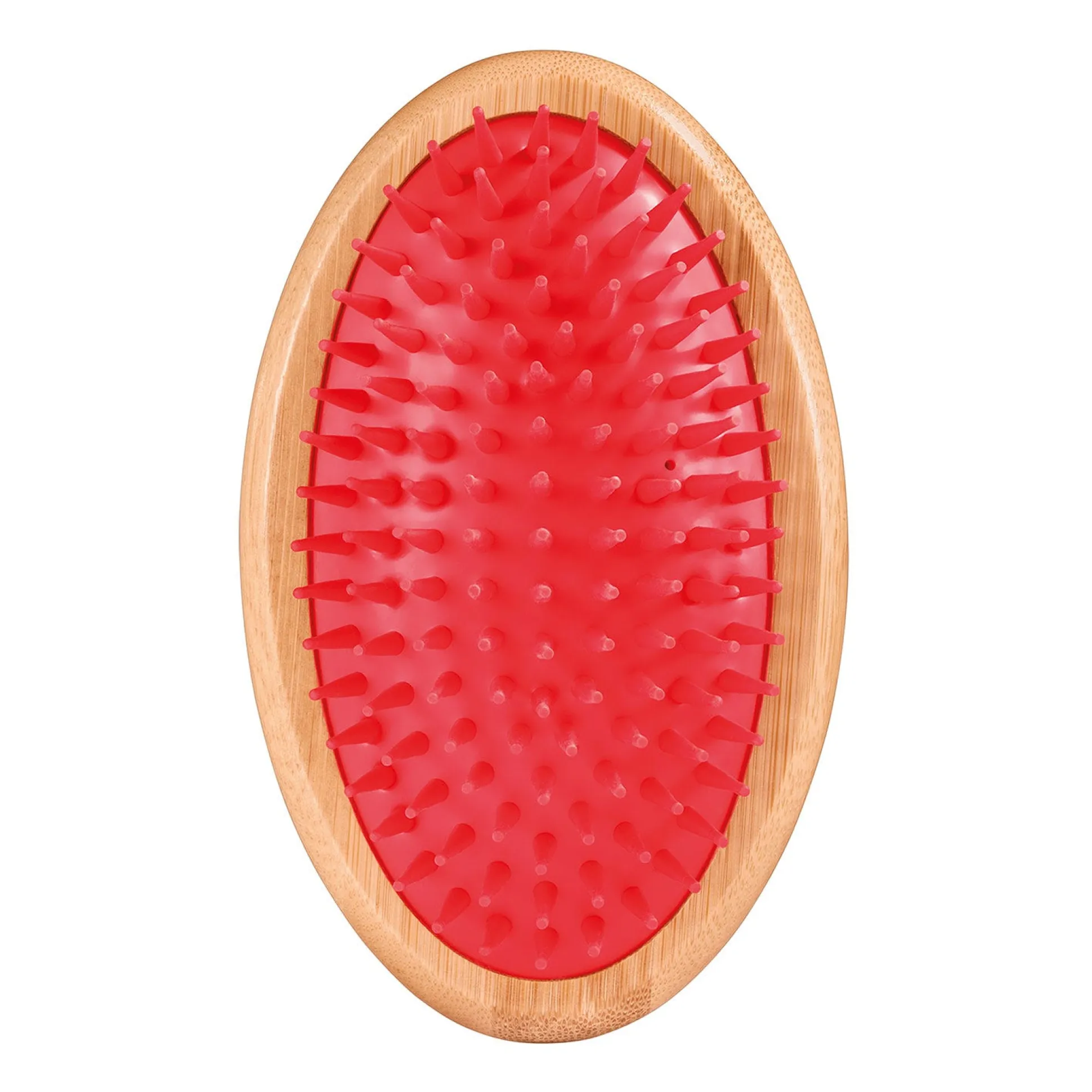Artero Laika Rubber Curry Brushes