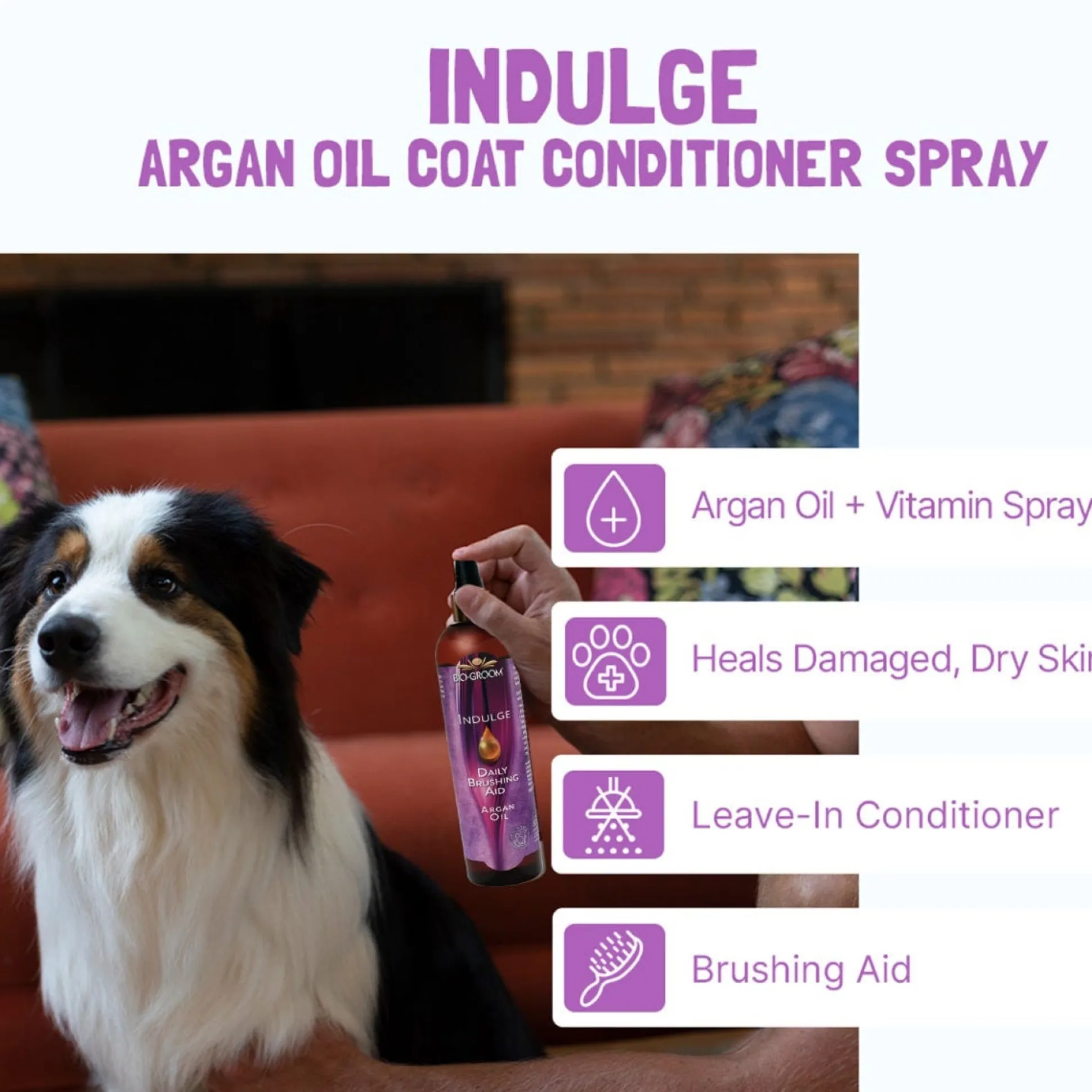 Bio-Groom Indulge Argan Oil Dog Coat Conditioner Spray