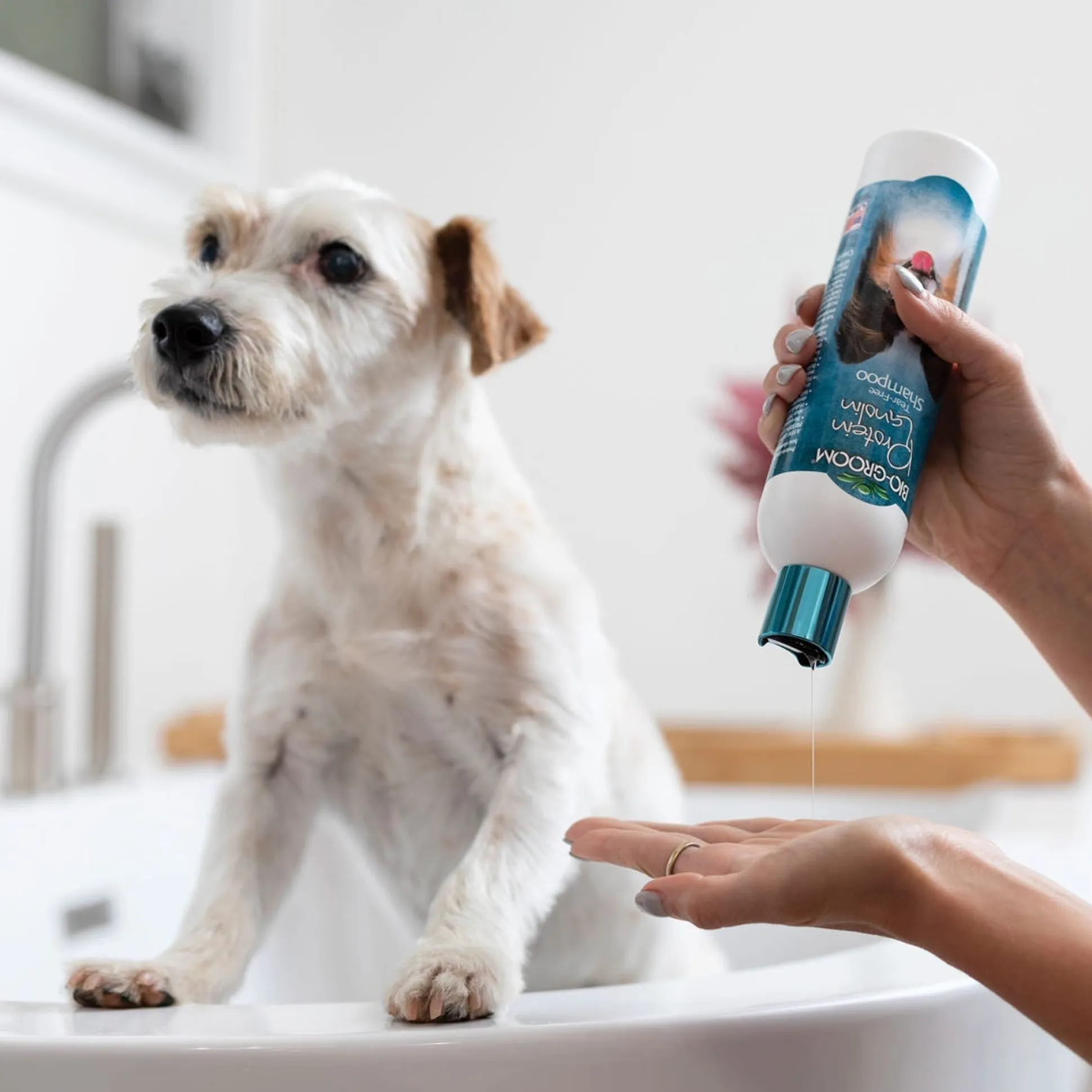 Bio-Groom Protein Lanolin Tear-Free Dog Grooming Shampoo