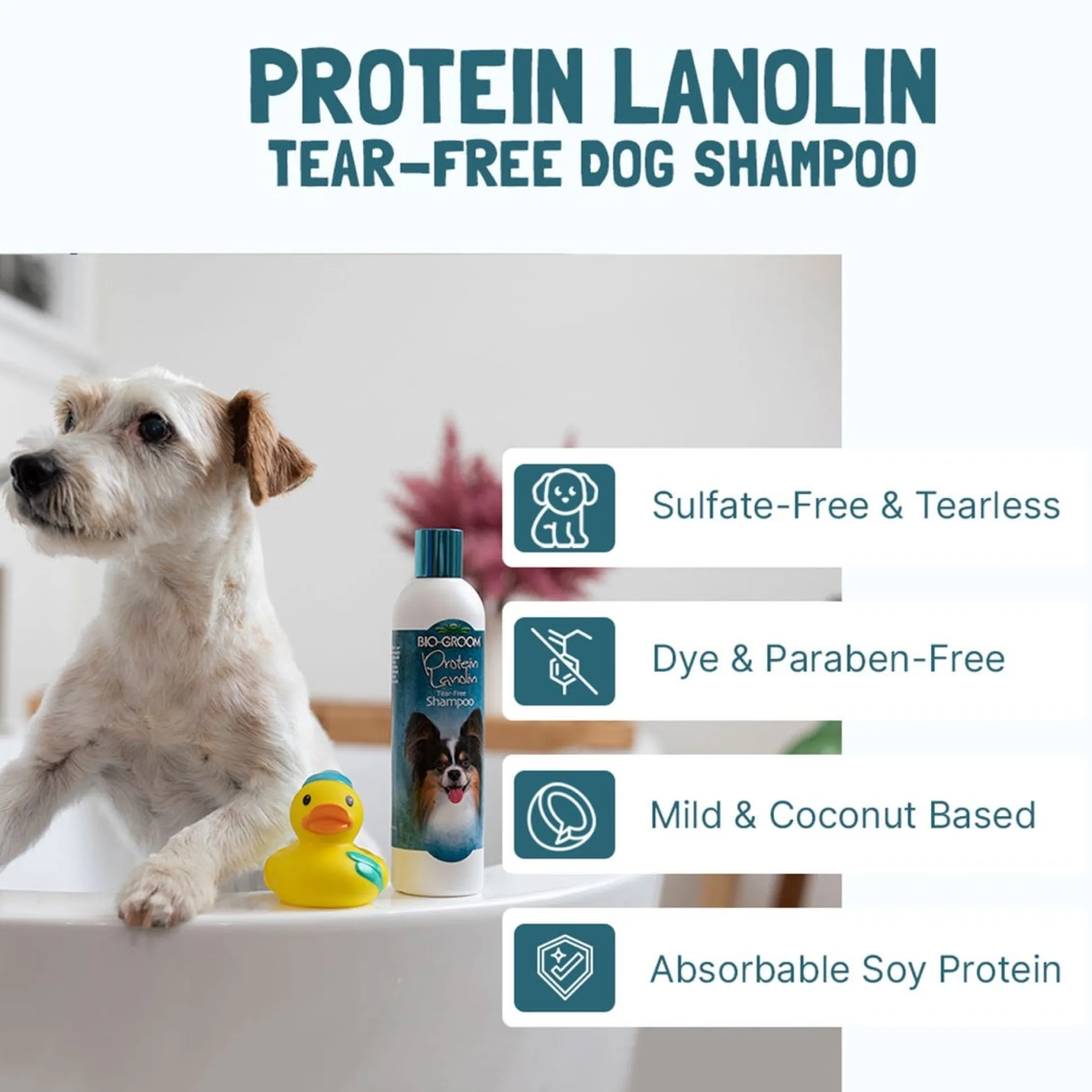 Bio-Groom Protein Lanolin Tear-Free Dog Grooming Shampoo