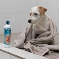 Bio-Groom Wiry Coat Tearless Texturizing Dog Shampoo