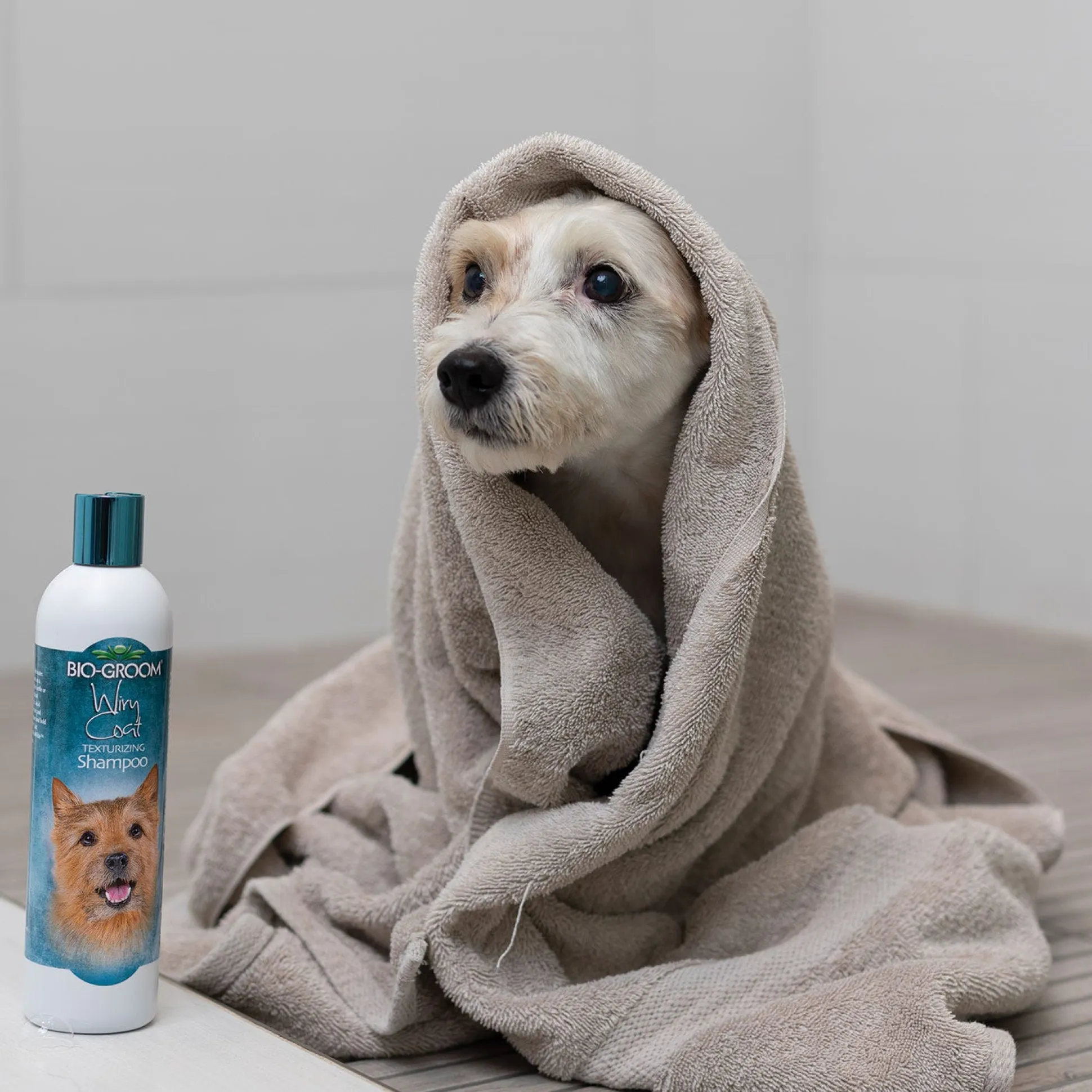 Bio-Groom Wiry Coat Tearless Texturizing Dog Shampoo