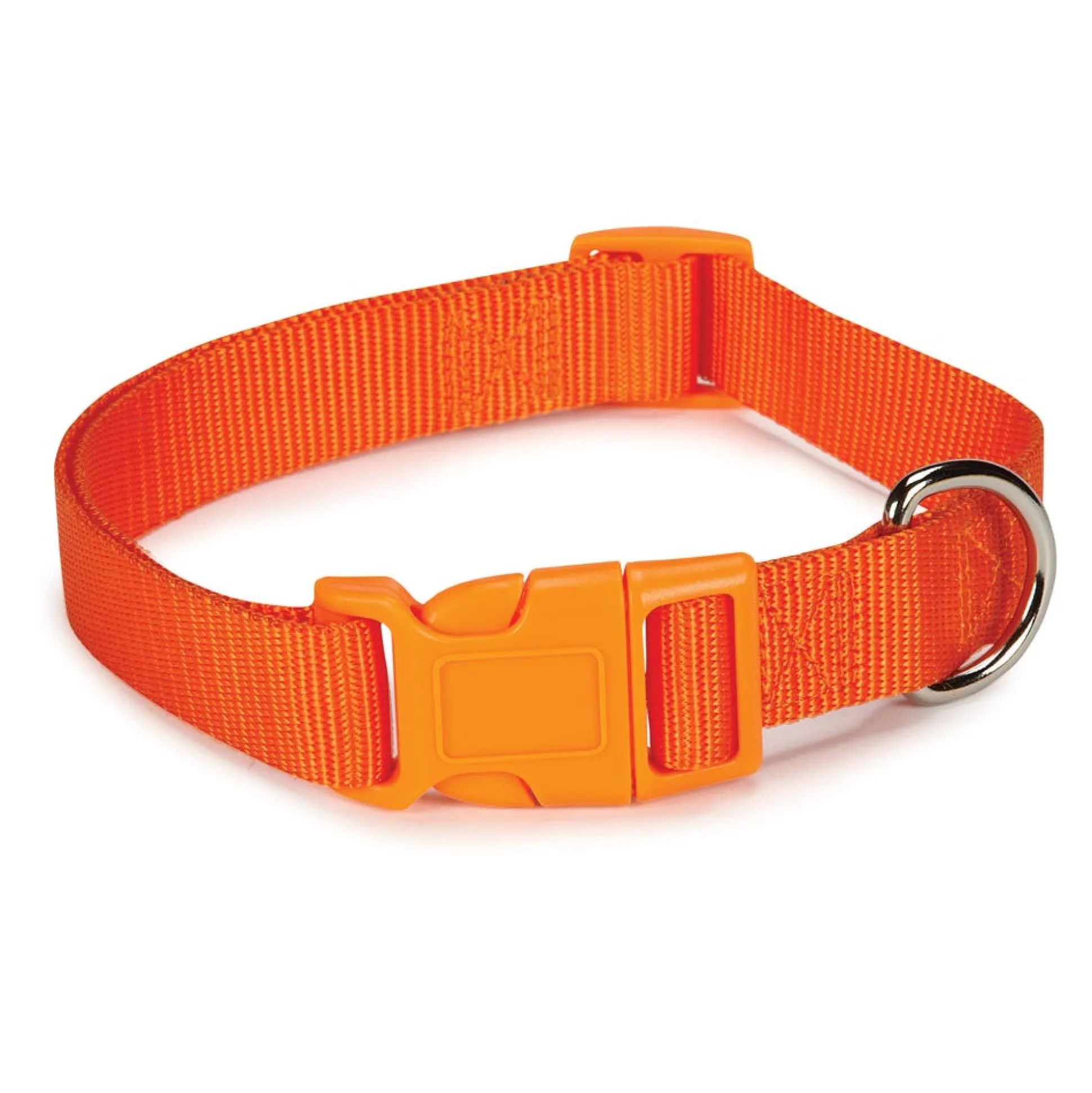 Casual Canine Classic Nylon Dog Collars