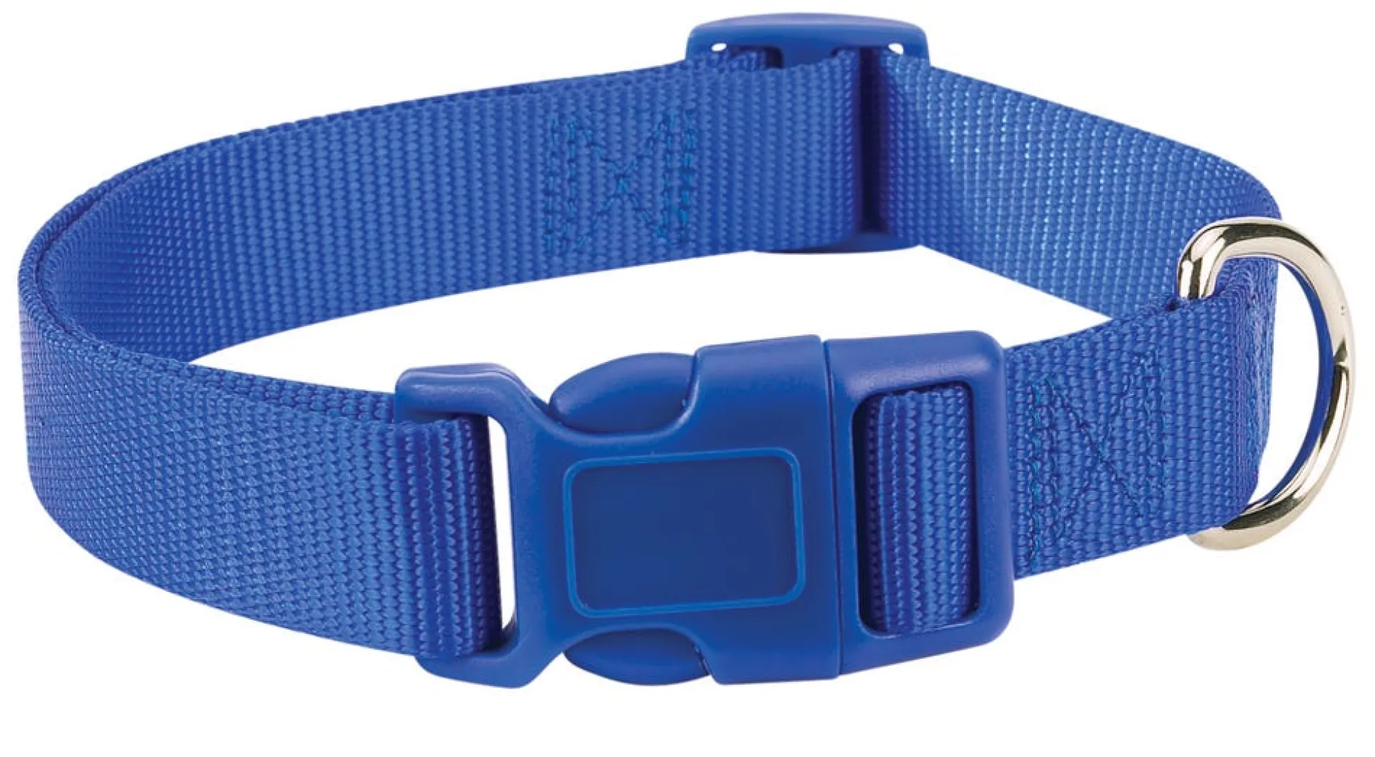Casual Canine Classic Nylon Dog Collars