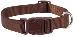 Casual Canine Classic Nylon Dog Collars