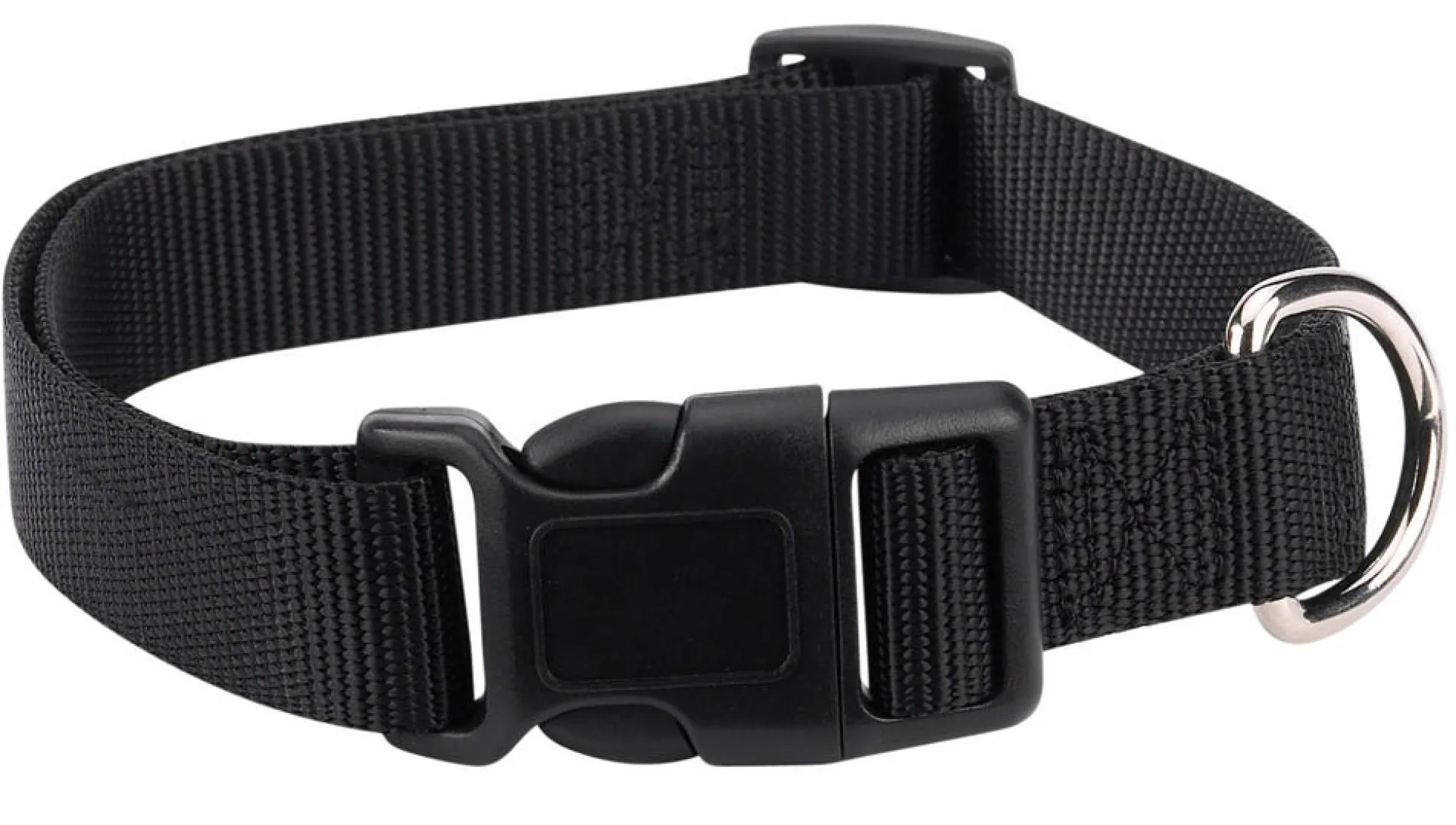 Casual Canine Classic Nylon Dog Collars