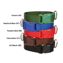 Casual Canine Classic Nylon Dog Collars