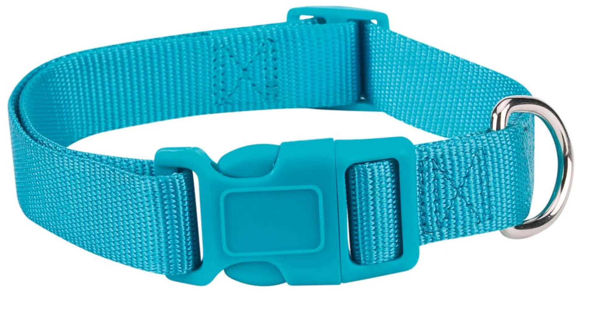 Casual Canine Classic Nylon Dog Collars