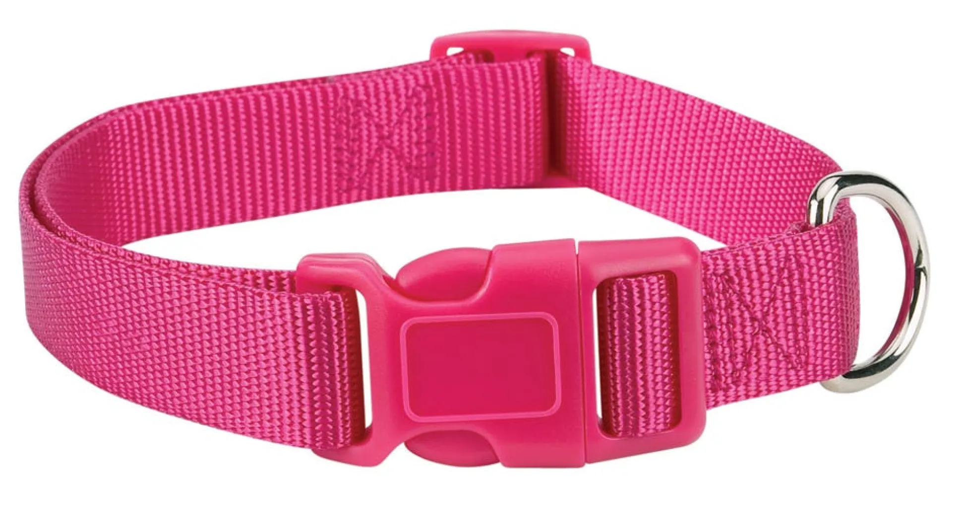 Casual Canine Classic Nylon Dog Collars