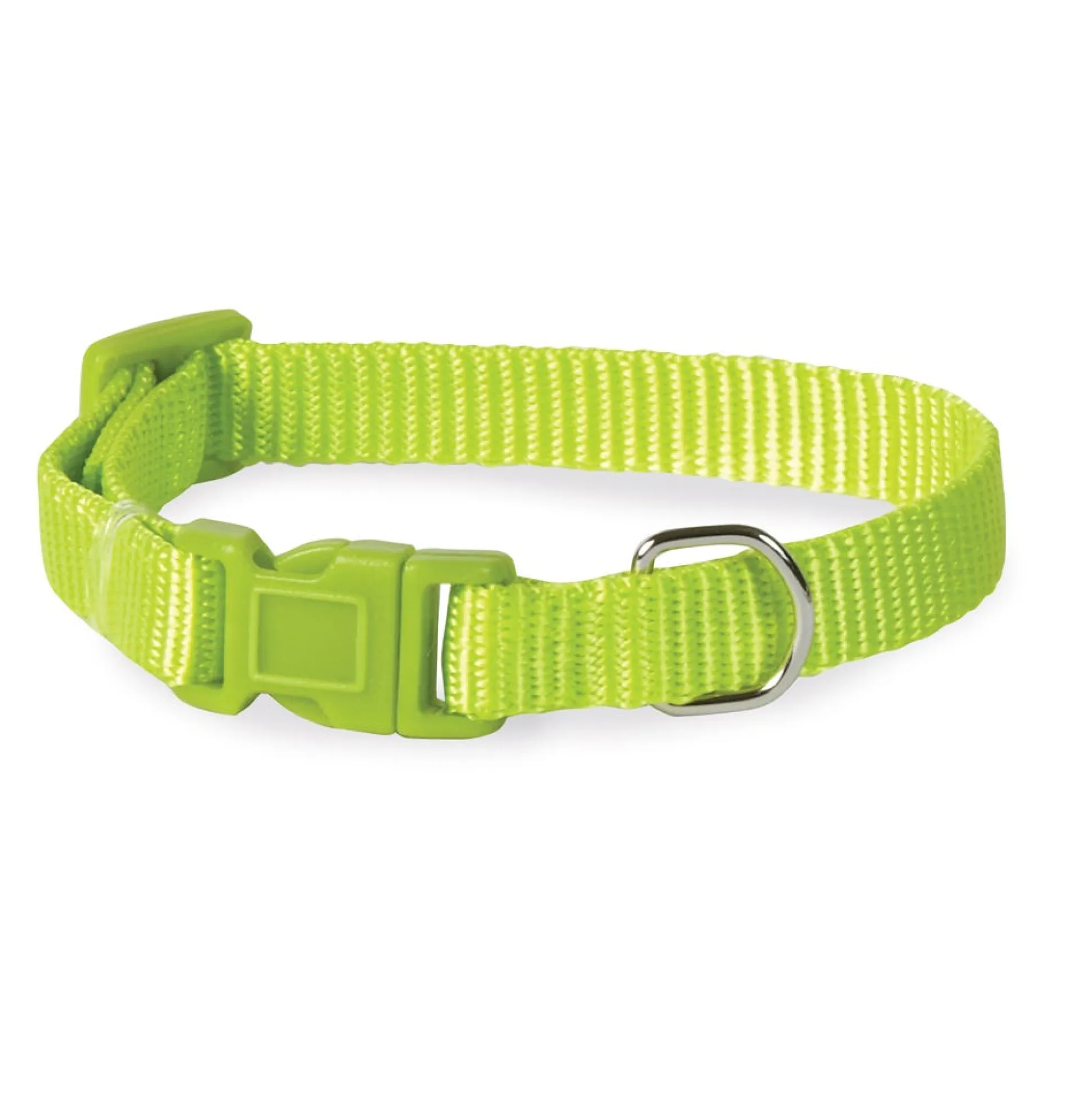 Casual Canine Classic Nylon Dog Collars