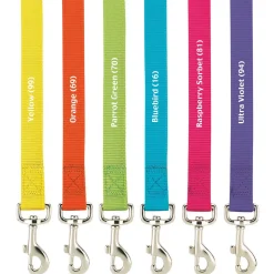 Casual Canine Classic Nylon Leads