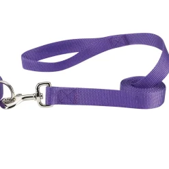 Casual Canine Classic Nylon Leads