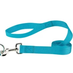 Casual Canine Classic Nylon Leads