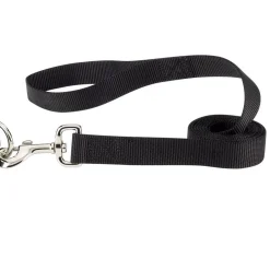 Casual Canine Classic Nylon Leads