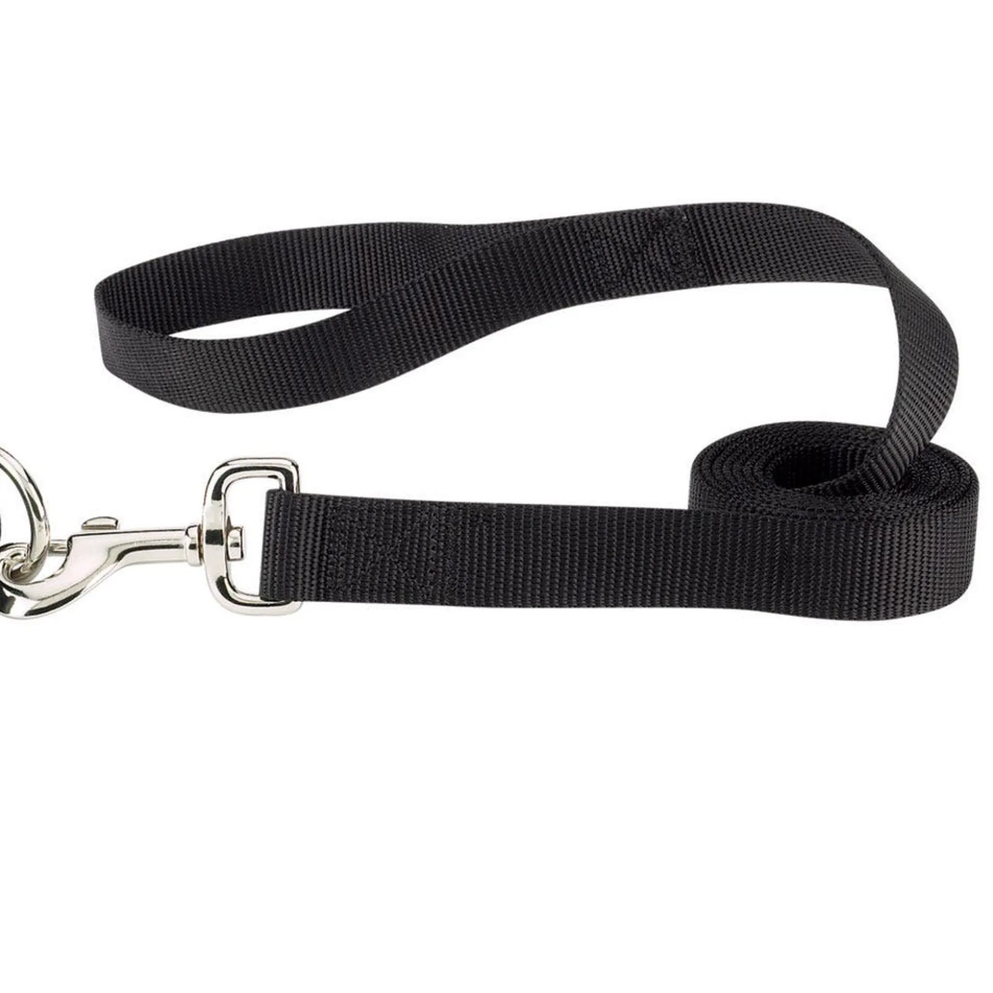 Casual Canine Classic Nylon Leads