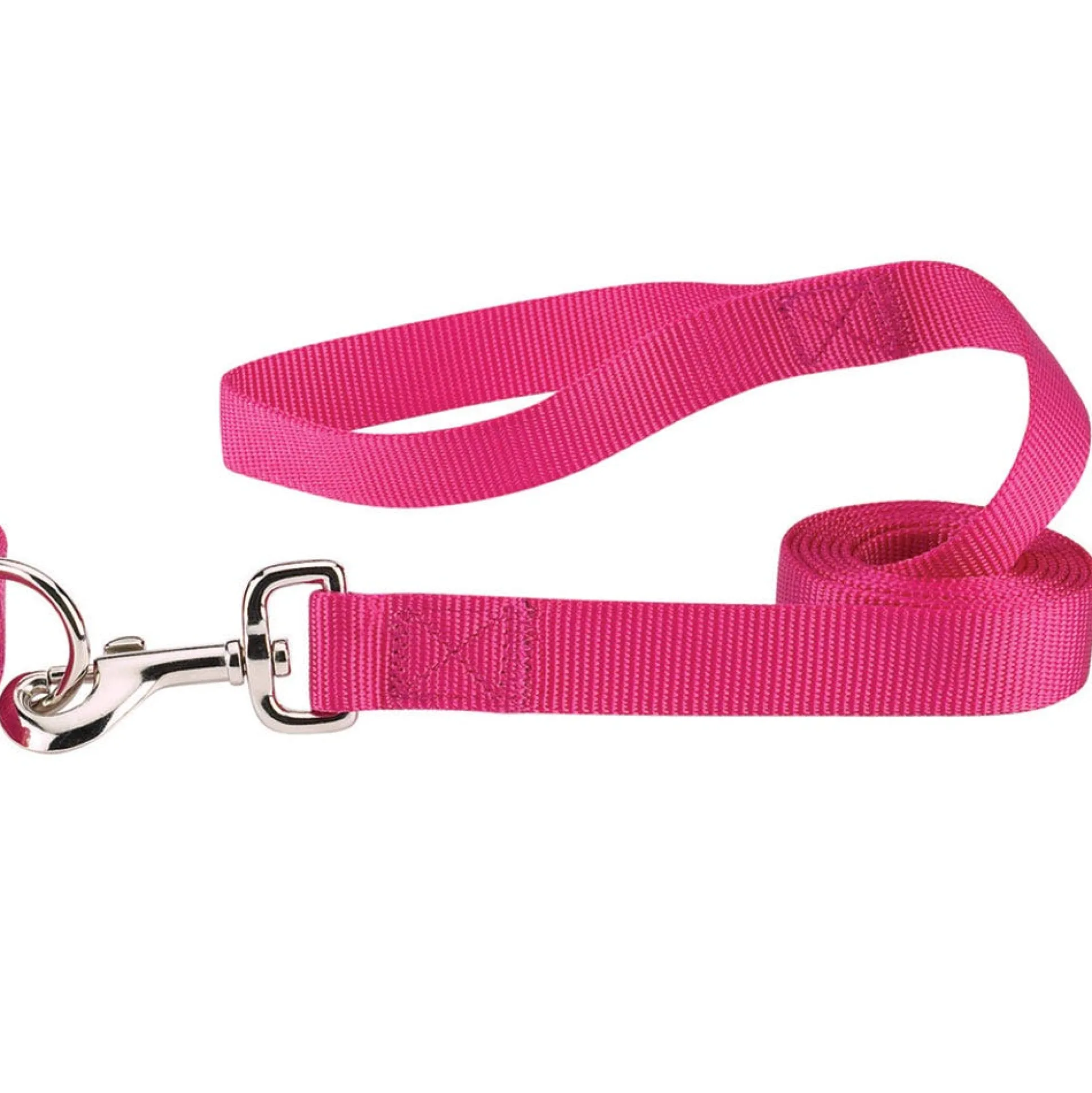 Casual Canine Classic Nylon Leads