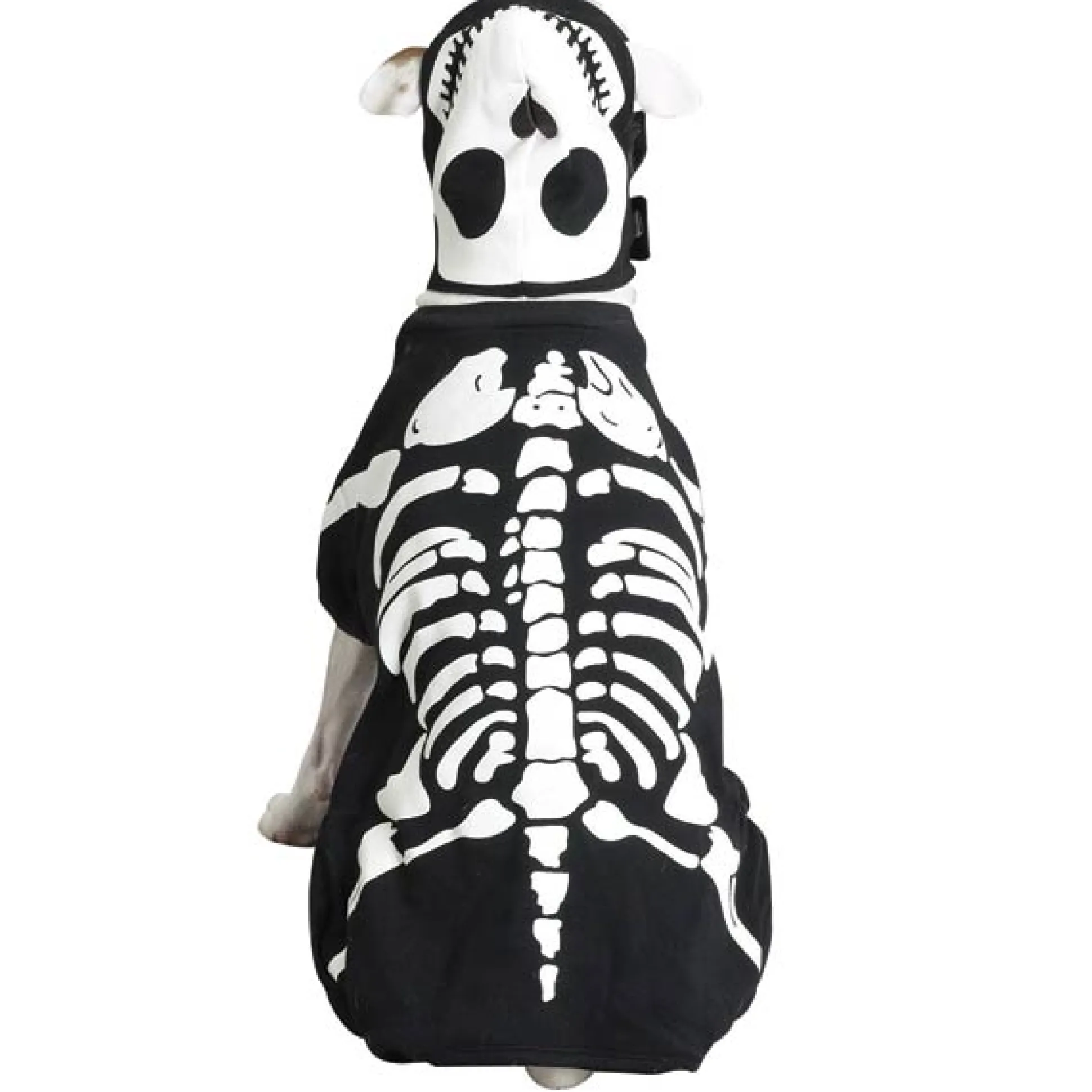 Casual Canine Glow Bones Costumes