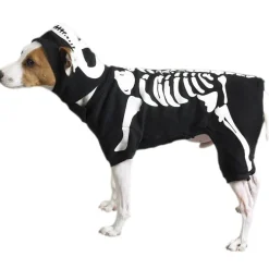 Casual Canine Glow Bones Costumes