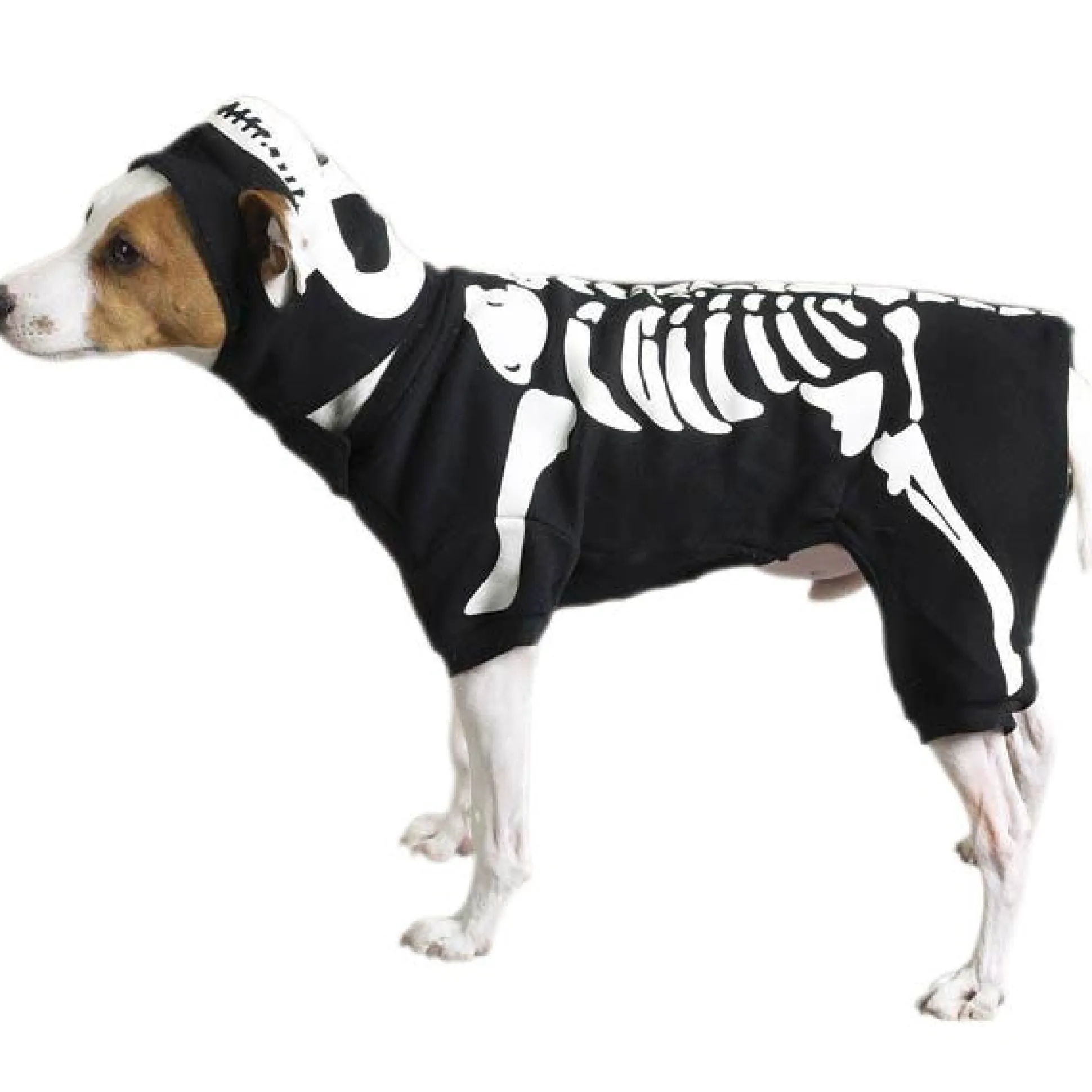 Casual Canine Glow Bones Costumes