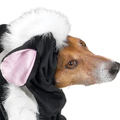 Casual Canine Lil' Stinker Dog Costumes