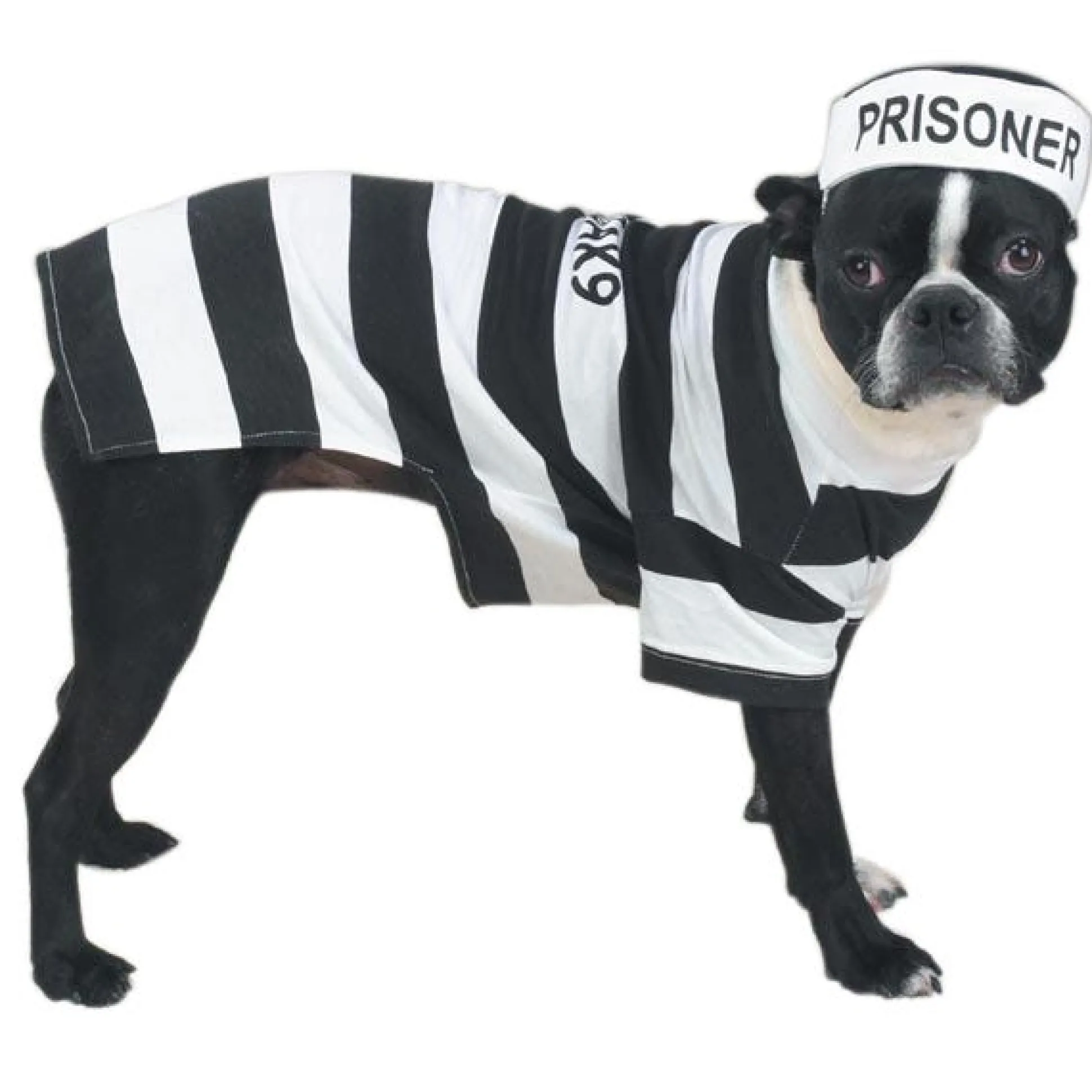 Casual Canine Prison Pooch Costumes