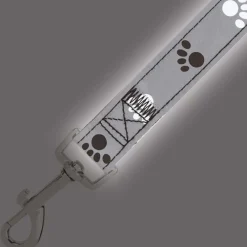 Casual Canine Reflect Pawprint Dog Leads