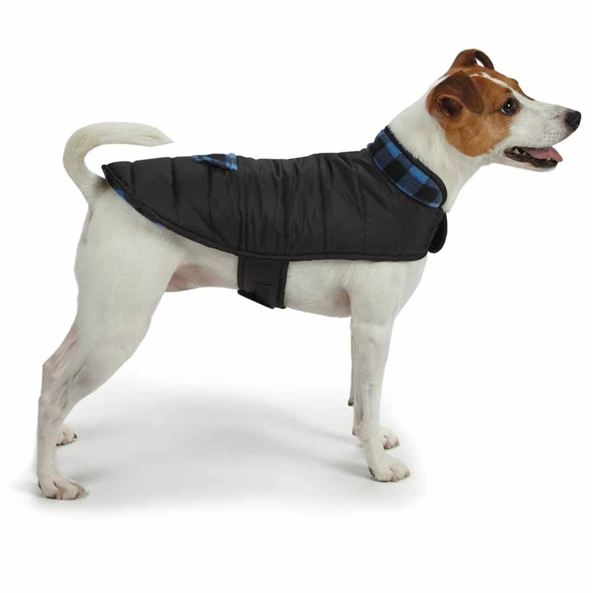 Casual Canine Reversible Parkas