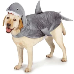 Casual Canine Shark Costumes