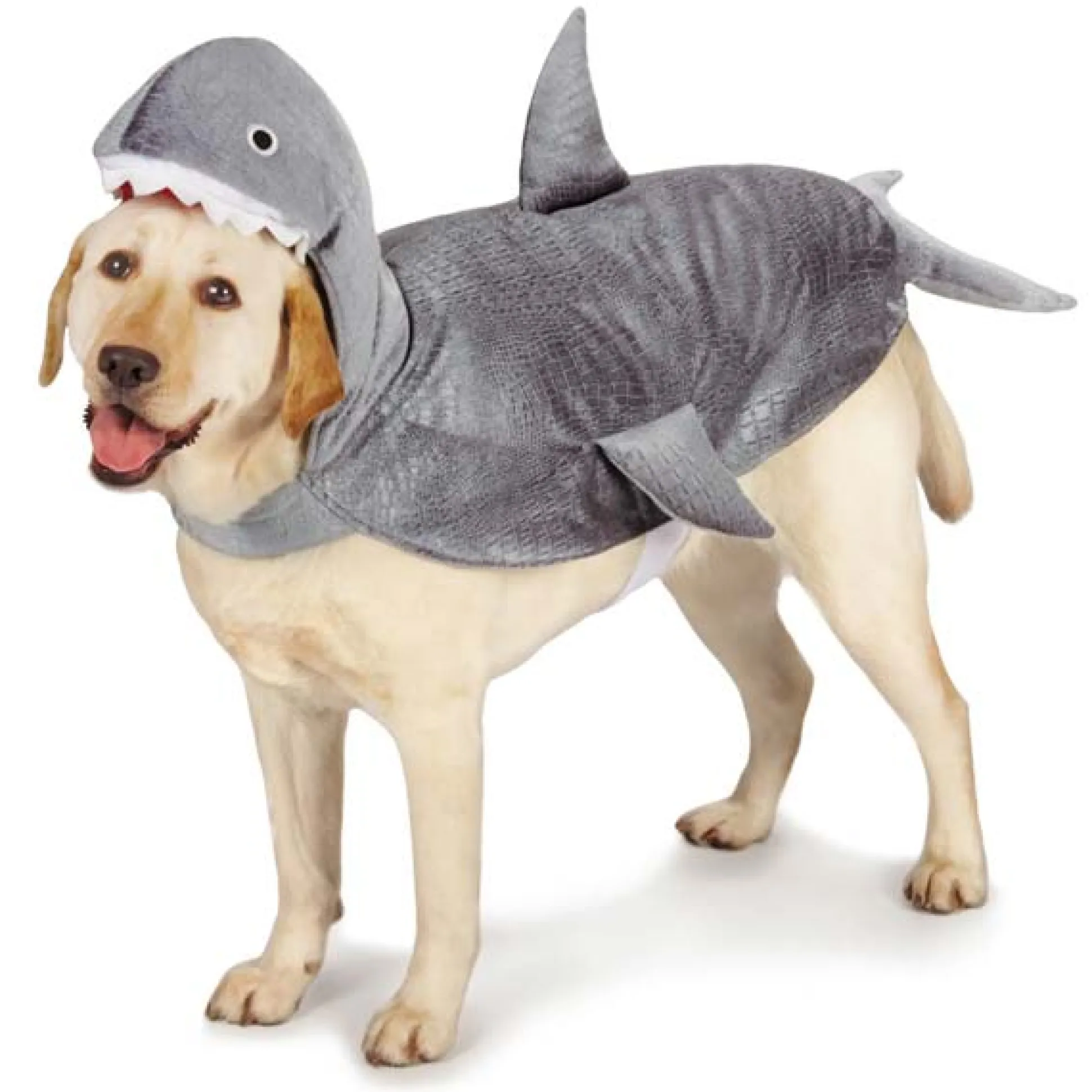 Casual Canine Shark Costumes