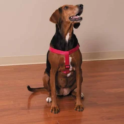 Casual Canine Two-Step Harnesses