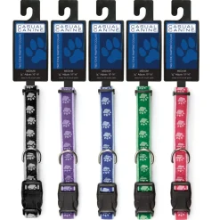 Casual Canine Two-Tone Pawprint Collars
