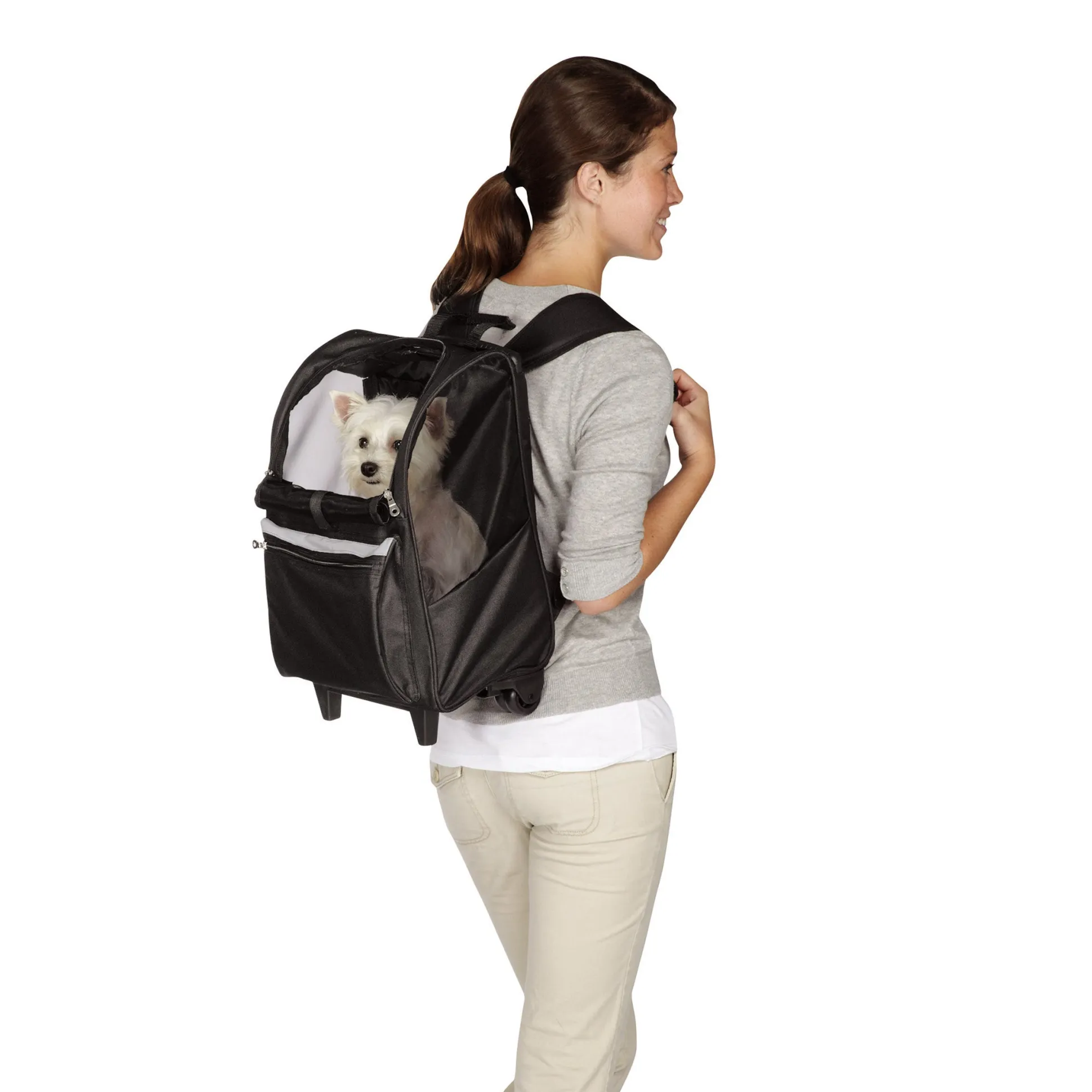 Cruising Companion Black On The Go Rolling Backpacks