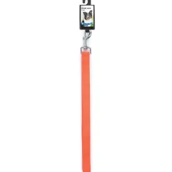 Digger's 1in Neon Nylon Lead 72in Orange