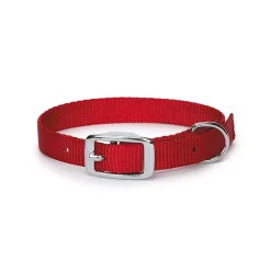 Digger's 5/8in Nylon Collar