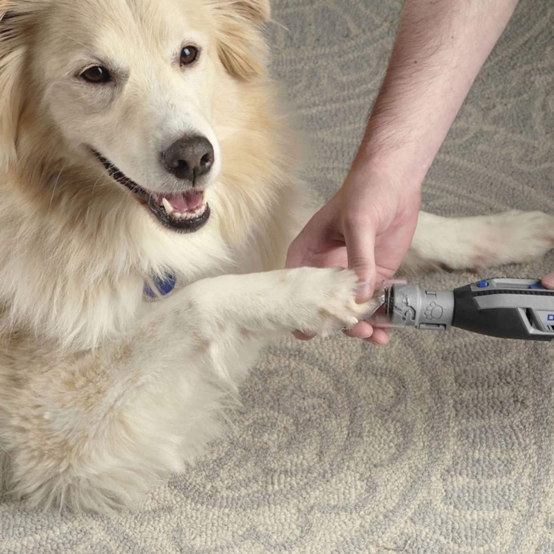 Dremel Cordless Variable Speed Dog Nail Grinder Kit