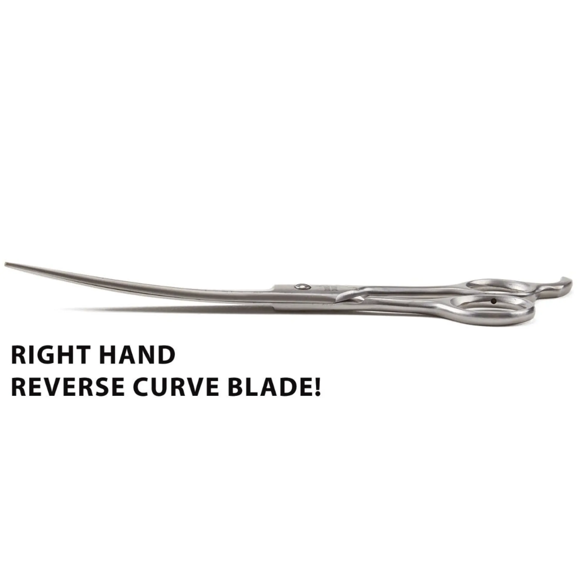 Dubl Duck Economy Stainless Steel Curved Shears-RH Reverse Curve