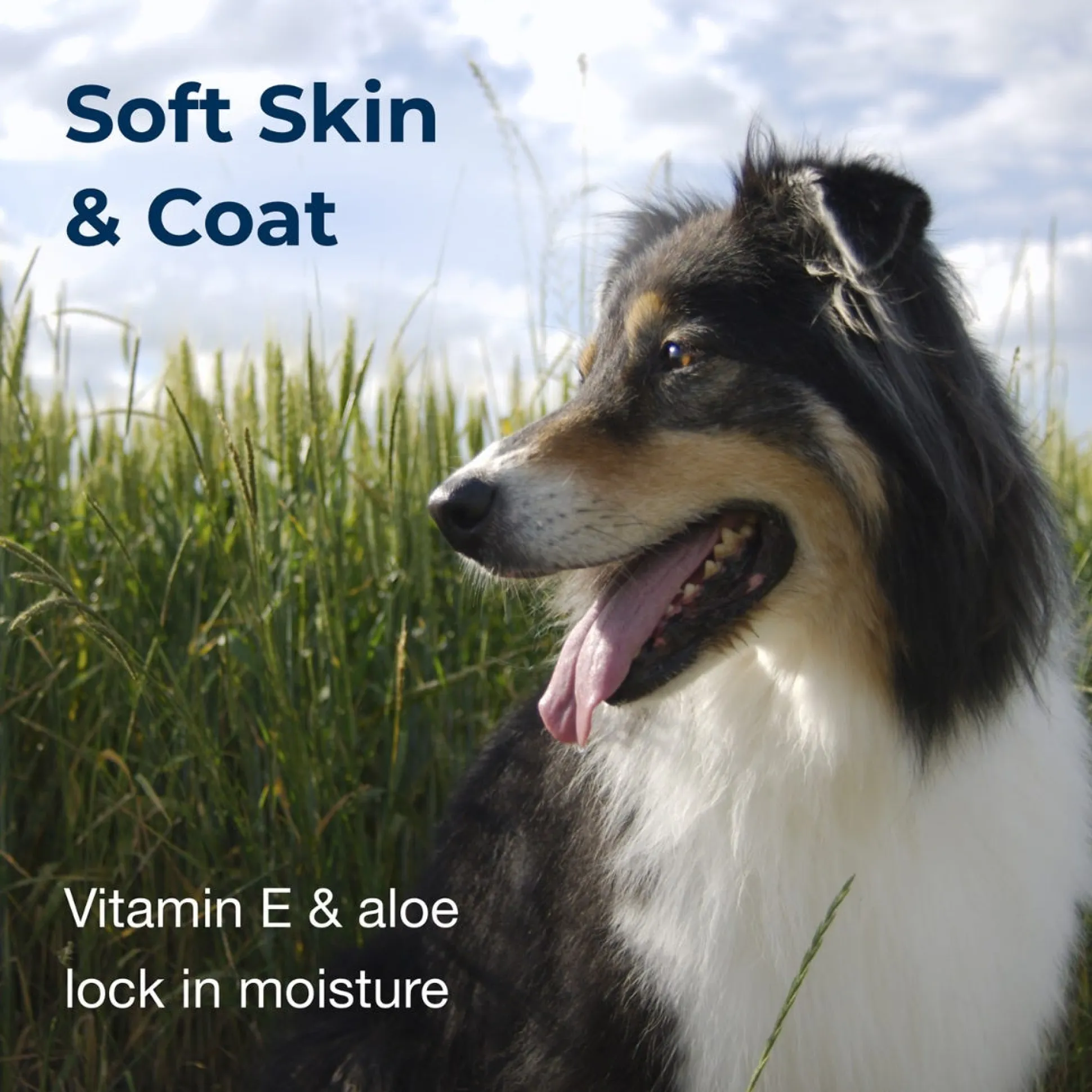 Fresh 'n Clean Crisp Linen Scented Dog Grooming Shampoo Gallon