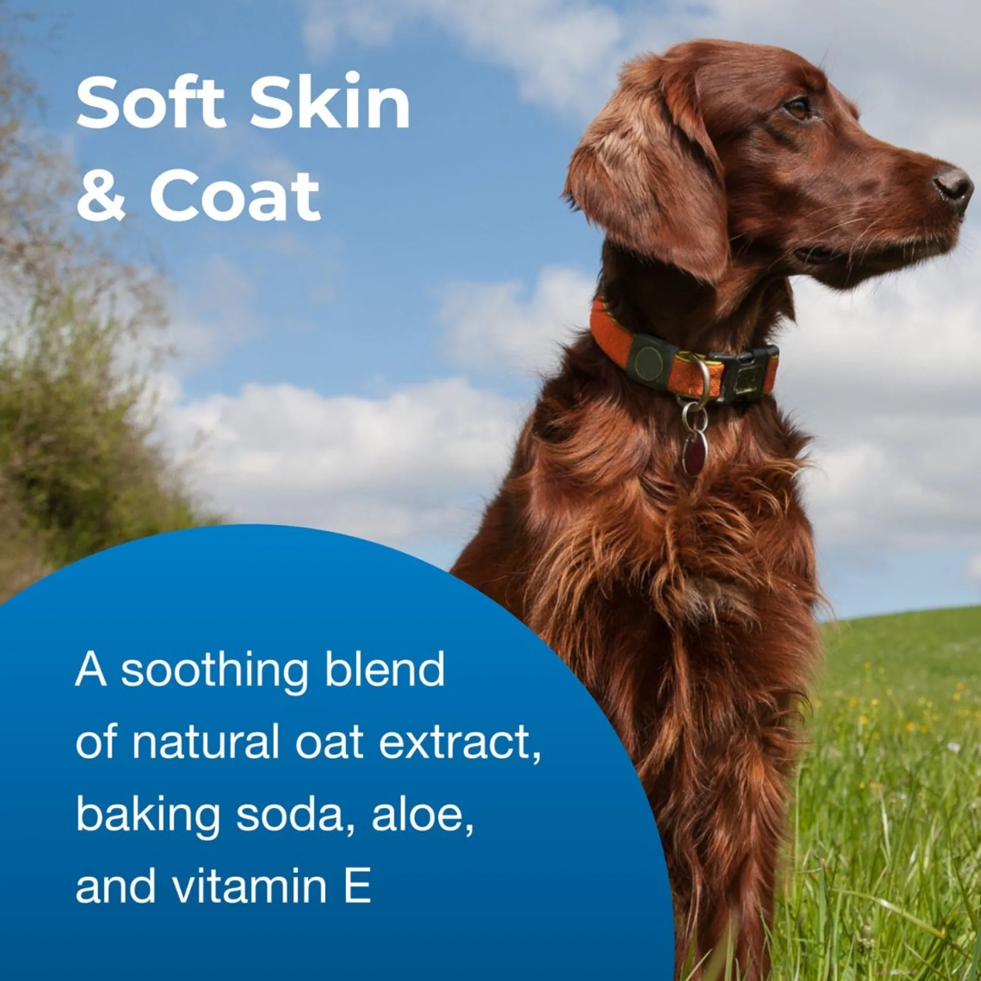 Fresh 'n Clean Oatmeal 'n Baking Soda Dog Grooming Conditioner Gallon
