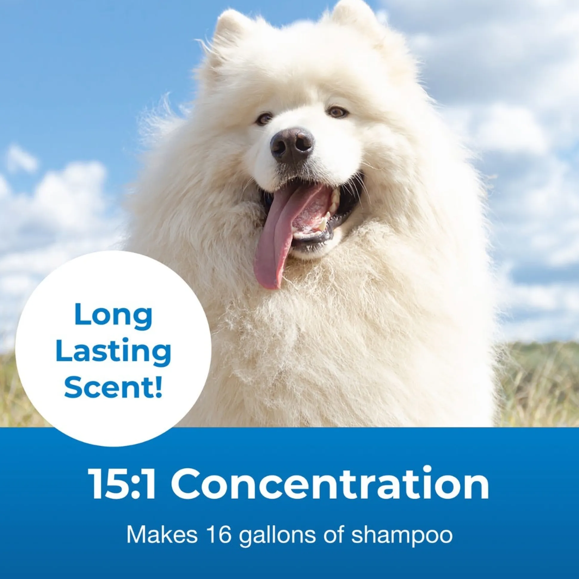 Fresh 'n Clean Snowy Coat 15:1 Dog Grooming Shampoo Gallon