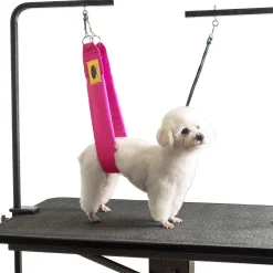 Grooming Safety by Jessica - The Belly Band
